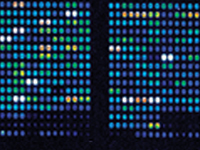 Advances in Microarray Technology